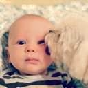 babiesanddogs avatar