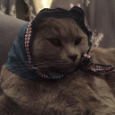 babooshka-cat avatar