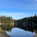 baby-barracuda avatar