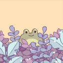 baby-bee-time avatar