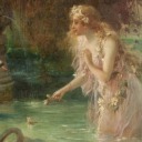 baby-blue-jay avatar