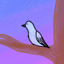 baby-bluebirdy avatar