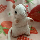 baby-cheezers-life avatar