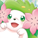 baby-shaymin avatar