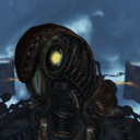 baby-songbird avatar