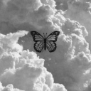 baby1butterfly avatar