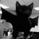 babybattbrained avatar