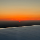 babybellcheesd avatar