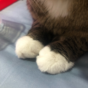 babyblackdragon avatar