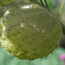 babybolete-blog avatar