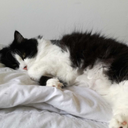 babyboycarl-blog avatar