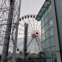 babybrowmbear95-blog avatar