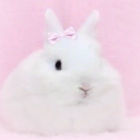 babydollheart22 avatar