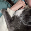 babydollxsposts avatar