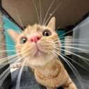 babygirl-liyah2 avatar