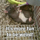 babygirl-lyric avatar