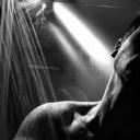 babygirl-with-issues avatar