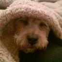 babyitsawesomeoutside avatar