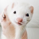 babyiwannaknow avatar