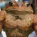 babyjoda34-mx avatar