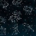 babykittenluminary avatar