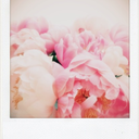 babylmjustgonnashake avatar