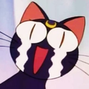 babylonflower avatar