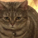 babypotatoslug avatar