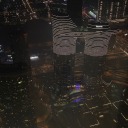 babyprofessorsharkpalace avatar