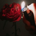 babyrosefantasy avatar