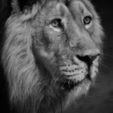 babysandwichpersona avatar