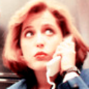 babyscullycaps avatar