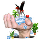 babyslug-blog1 avatar