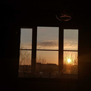 babysunflower avatar