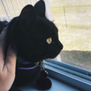 babywereonfire avatar