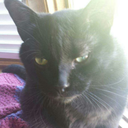 babywitch4ever avatar