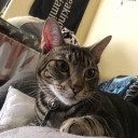 back-from-the-dead-maybe avatar