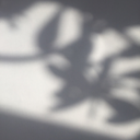 backoutmycoma avatar