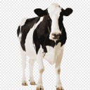 backpack-adventures avatar