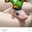 backpackingspace avatar