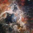 backstage-sweetheart avatar