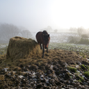 backstreetsofbeauty avatar