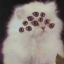 backto-thebeginning avatar