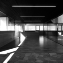 backtothebattles avatar