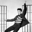 backwards-elvis avatar