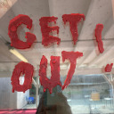 backyardflaneur916 avatar