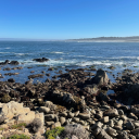 baconcanadien avatar