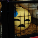 baconexplosion avatar