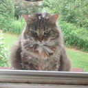 bad-able-bodied-advice avatar