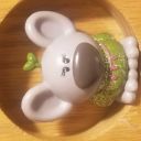 bad-at-names-and-faces avatar